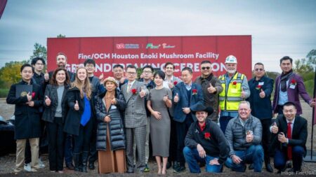 Westchase mushroom factory breaks ground, aims to supply Asian grocers with fresh product – The Business Journals