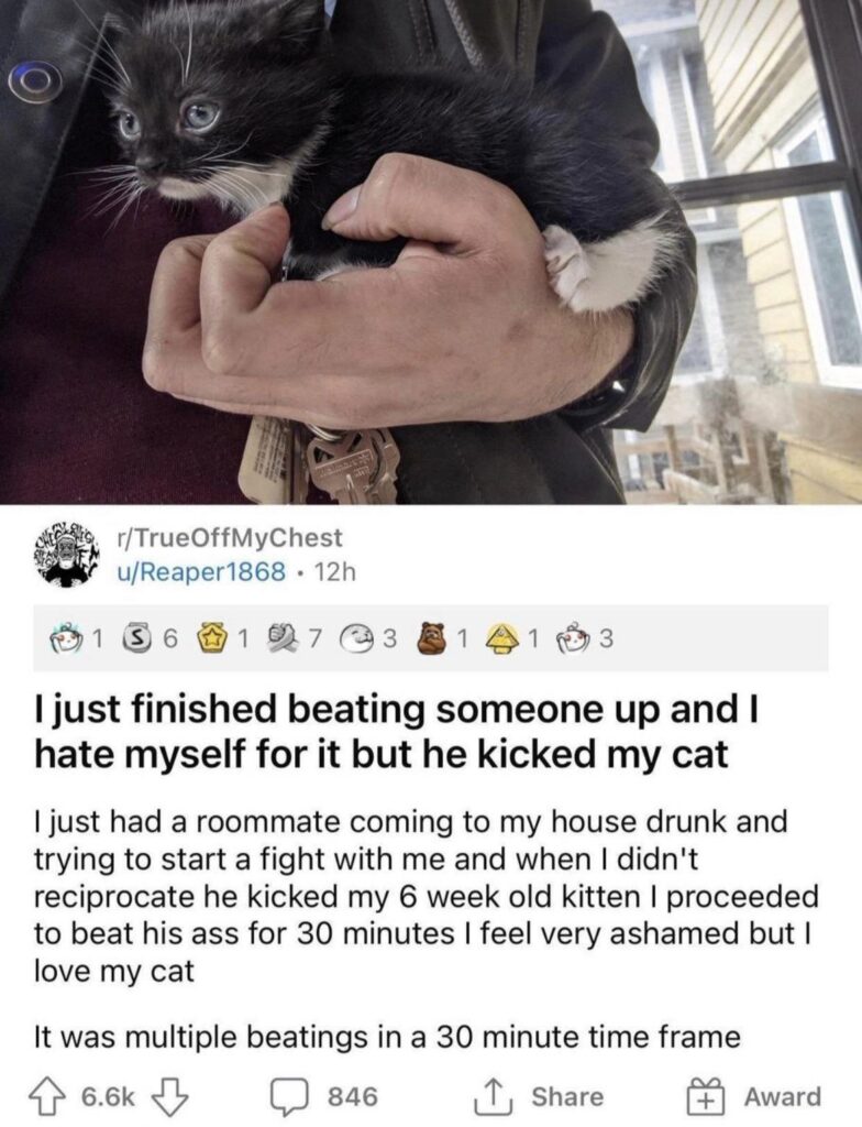 Reported argument over cat with roommate leads to fatal stabbing of nursing student – USA Today