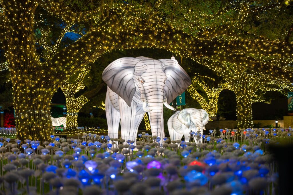 15 must-see holiday light displays to explore in Houston this season – Houston Chronicle
