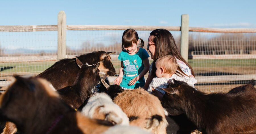 Best Farms in Houston with Family Entertainment – Mommy Poppins