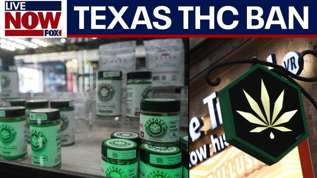 As Gov. Abbott’s deadline to veto Texas THC ban approaches, Houston businesses weigh options – The Business Journals