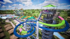 Houston’s best attractions to explore this summer – Houston Chronicle