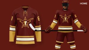 NHL reportedly meets with Houston billionaire to discuss bringing hockey team to Houston – Houston Public Media