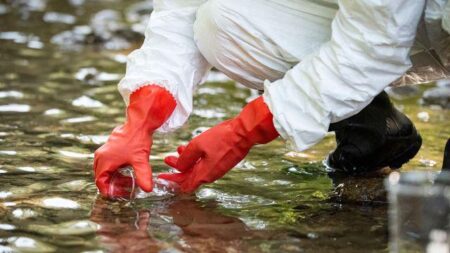 Measles virus detected in Houston wastewater before cases were reported – Baylor College of Medicine | BCM