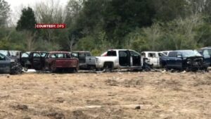 HCSO says stolen vehicles worth more than half a million found in Houston area – KHOU