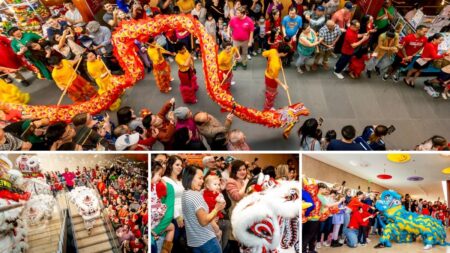 Lunar New Year 2025: Best Houston events to welcome the Year of the Snake – Houston Chronicle