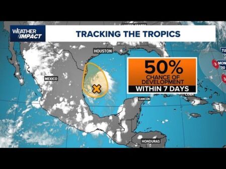 Tropical disturbance in Gulf could bring heavy rainfall to Houston area – Houston Public Media