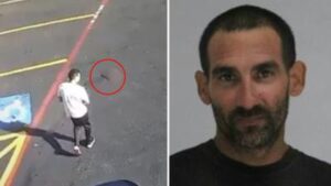 Indian beheaded in US: Congressman Ro Khanna says attacker ‘should not have been free’ on streets; cites – Times of India
