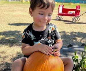 Fall Bucket List for Kids: 30 Top Things To Do in Houston This Fall 2025 – Mommy Poppins