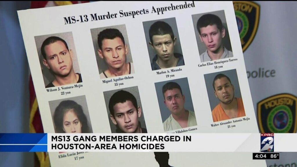 MS-13 Members Confess to Deadly Houston Crime Spree, Including Teen’s Murder MS-13 members admit to killings in Houston crime spree, including death of teen – Houston Chronicle