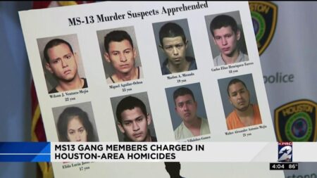 MS-13 members admit to killings in Houston crime spree, including death of teen – Houston Chronicle