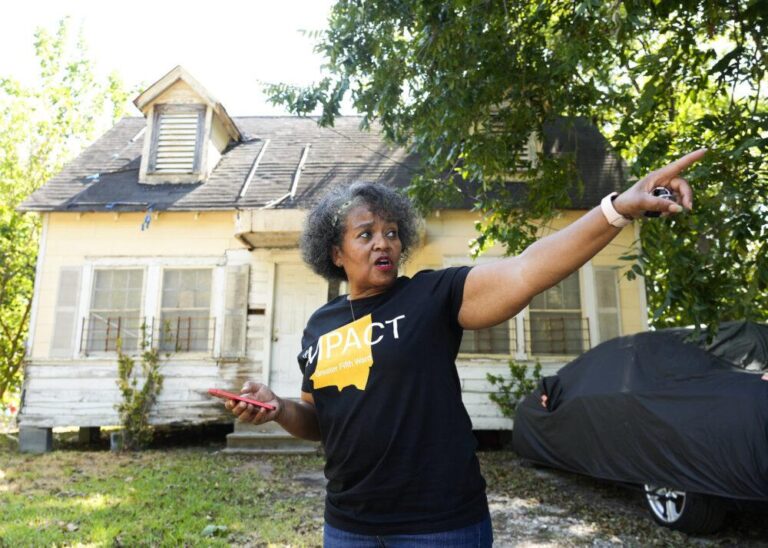 Black Women Fight for Life in Houston’s Most Toxic — and Gentrifying — Neighborhood – Capital B News