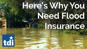 Texans could lose flood insurance if Congress doesn’t pass a spending deal. Here’s what to know – Houston Chronicle