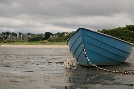 Shocking Footage Captures Two Women Fighting in the Street Before Tragic Fatal Accident in SE Houston Surveillance video shows 2 women fighting in the middle of the street before being fatally hit by vehicle in SE Houston – Click2Houston