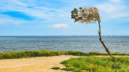 When Governors Collide: Abbott and Newsom Face Off in Houston When Governors Collide: Abbott & Newsom in Houston – Houston Public Media