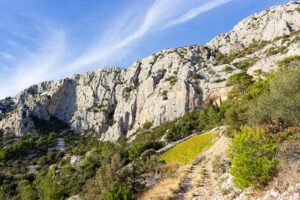 Nikola Jokic looks like the MVP, Kevin Durant thriving in Houston and Nico Harrison out in Dallas – Yahoo Sports