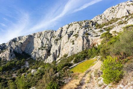 Nikola Jokic Dominates as MVP Favorite, Kevin Durant Shines in Houston, and Nico Harrison Exits Dallas Nikola Jokic looks like the MVP, Kevin Durant thriving in Houston and Nico Harrison out in Dallas – Yahoo Sports