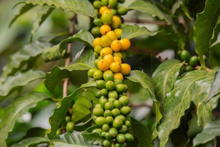 The IkoSystem: Jonathan Kuminga’s two-way maturation, John Collins’ cutting and baby steps in Houston – Yahoo Sports