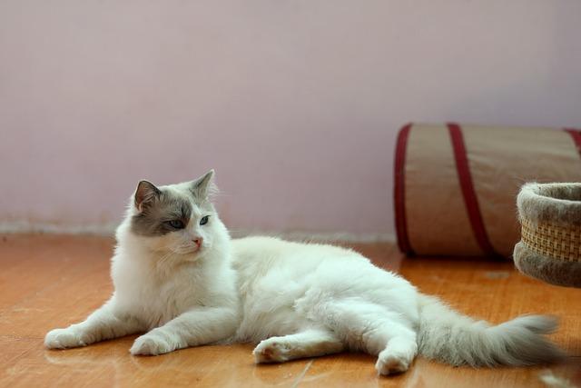 HISD Aims to Partner with Outside Pre-K Programs for Exciting Dual Enrollment Opportunity HISD seeks to work with outside pre-K programs in dual enrollment partnership – Houston Chronicle