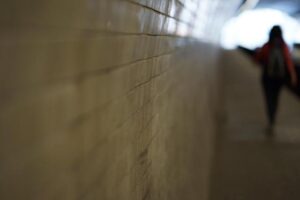 Mom’s rental car records link notorious repeat offender to violent jugging of 71-year-old man in Bellaire – Click2Houston