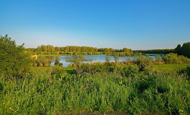 Spring-Area Homeowners Confront Long Road to Recovery After Devastating Tornado Spring-area homeowners face lengthy recovery after tornado hits their neighborhood – Houston Public Media