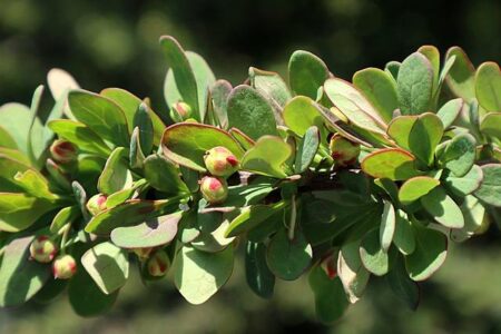 Jared Grodin Honored in Inaugural Community Leadership Awards for Impactful Contributions Houston Business Journal Recognizes Jared Grodin in Inaugural Community Leadership Awards – Hunton Andrews Kurth LLP