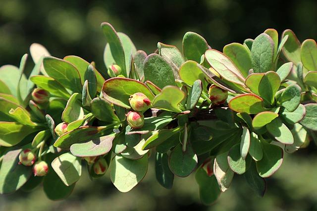 Jared Grodin Honored in Inaugural Community Leadership Awards for Impactful Contributions Houston Business Journal Recognizes Jared Grodin in Inaugural Community Leadership Awards – Hunton Andrews Kurth LLP