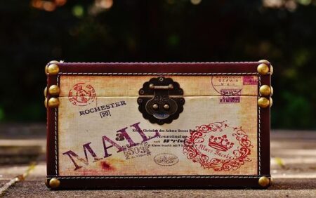 Avelo Airlines to close 3 bases, end deportation flights amid streamlining – The Business Journals