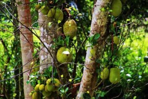 Laura Isensee named Houston Chronicle’s new education editor – Houston Chronicle