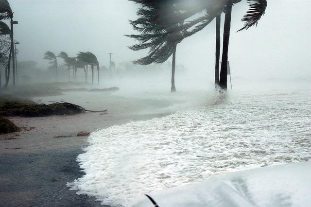 Rainy Weather in Houston Eases After Flooding and Tropical Storm Rainy weather in Houston area subsides after flooding, tropical storm – Houston Public Media